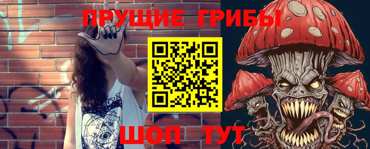 Галлюциногенные грибы Psilocybe Нерюнгри